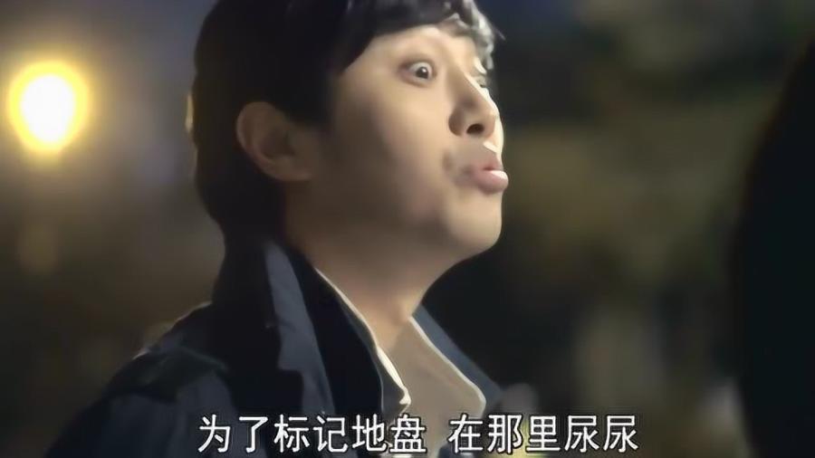 学习插花艺术
